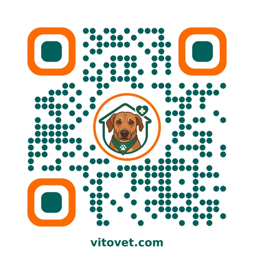 Código QR que abre vitovet.com